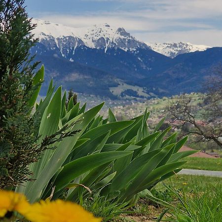 Vila Plai Din Bran Bran  Exteriér fotografie